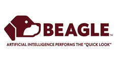 Beagle Legal