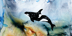 I Am Orca