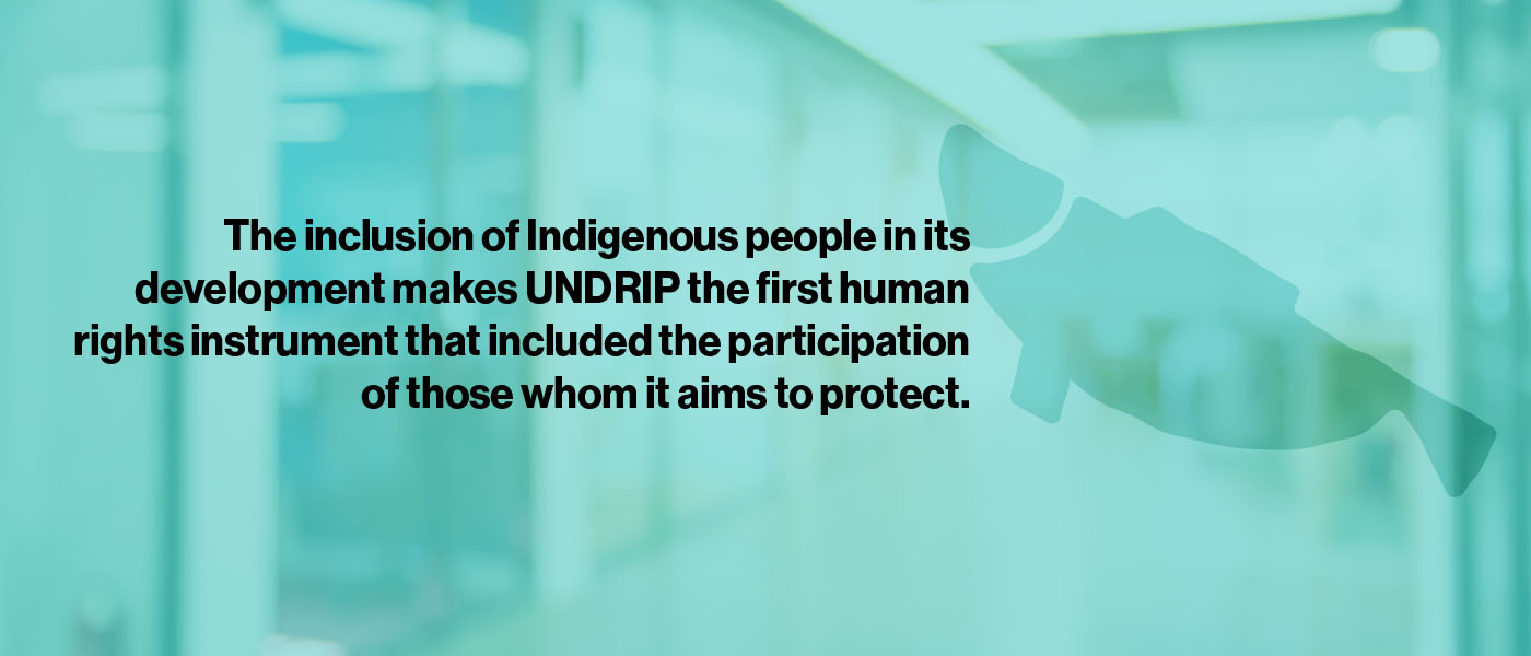 Undrip Principles 4. United Nations Declaration on the Rights of Indigenous Peoples ...