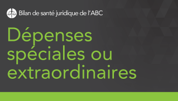 Dépenses spéciales ou extraordinaires